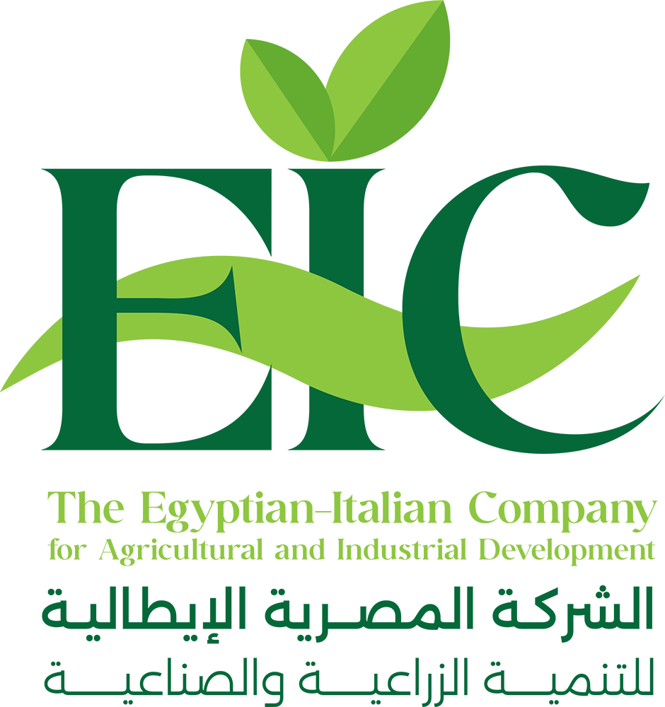 الشركة المصرية الإيطالية