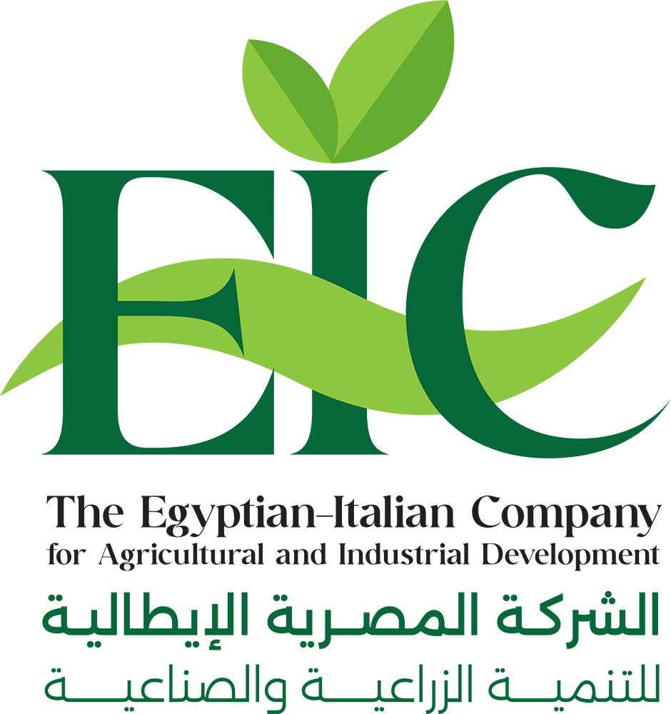 الشركة المصرية الإيطالية